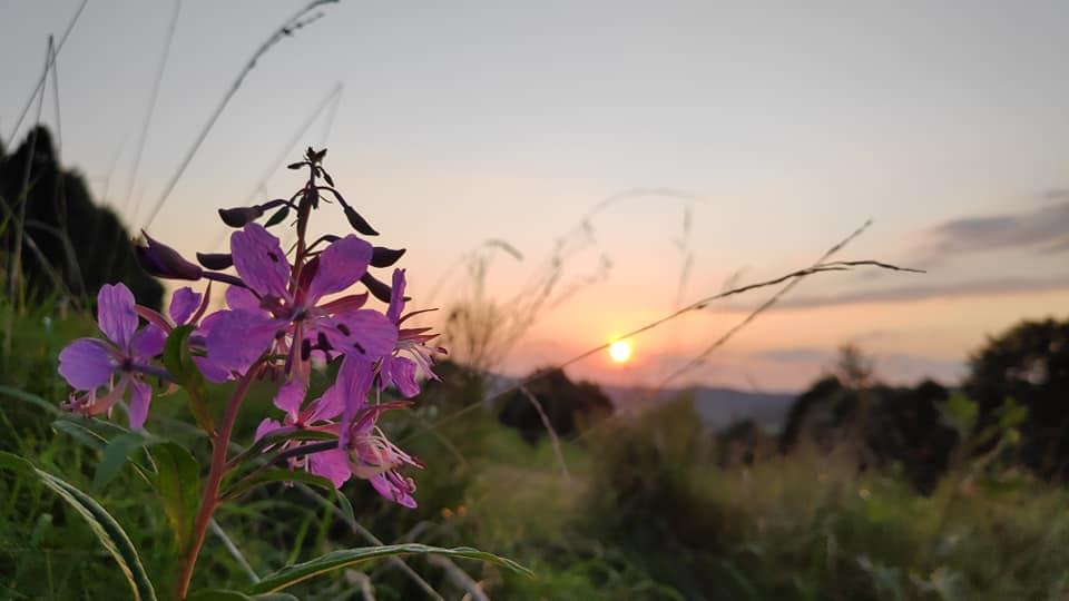 życie