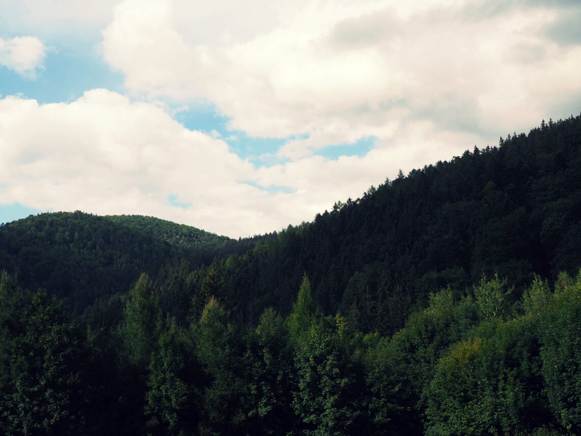 części